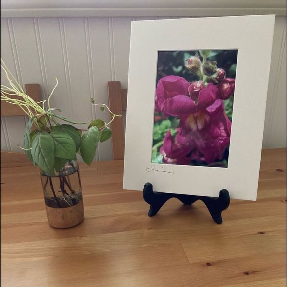New Original Signed Photography - Picture 1 of 5